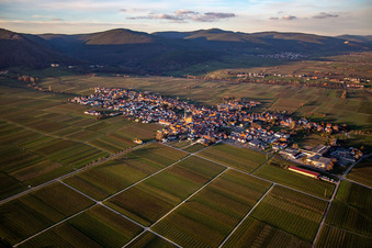 Vue aérienne de Du sud-est à Rhodt unter Rietburg dans le département Rhénanie-Palatinat, Allemagne
