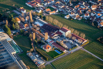Vue aérienne de Domaine viticole Werner Anselmann, Gebrüder Anselmann GmbH à Edesheim dans le département Rhénanie-Palatinat, Allemagne
