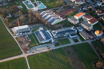 Vue aérienne de Gebrüder-Ullrich-Realschule plus devant la piscine extérieure / piscine Kalmitbad à Maikammer dans le département Rhénanie-Palatinat, Allemagne