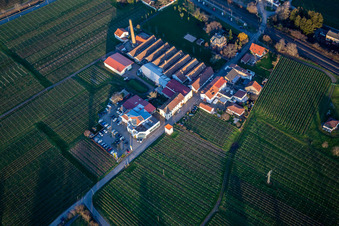 Vue aérienne de Renault Autohaus Schreieck GmbH devant le domaine viticole Albert Götz KG à Kirrweiler dans le département Rhénanie-Palatinat, Allemagne