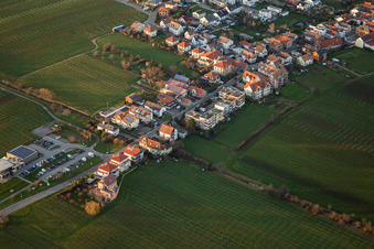Vue aérienne de Route des vins à le quartier Diedesfeld in Neustadt an der Weinstraße dans le département Rhénanie-Palatinat, Allemagne