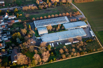 Vue aérienne de Pissenlit de pâtisserie biologique; Vente d'entrepôt de meubles rembourrés à Gommersheim dans le département Rhénanie-Palatinat, Allemagne