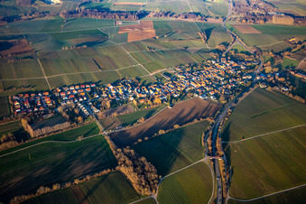 Vue aérienne de Du sud-ouest à Niederhorbach dans le département Rhénanie-Palatinat, Allemagne
