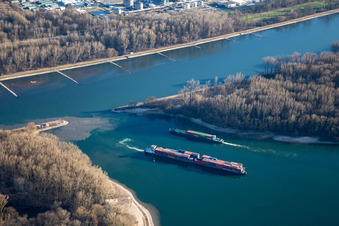 Vue aérienne de Entrée du Rhin au port d'État de Wörth à le quartier Maximiliansau in Wörth am Rhein dans le département Rhénanie-Palatinat, Allemagne