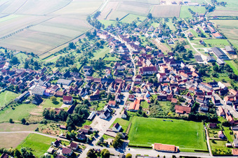 Vue oblique de Champs agricoles et terres agricoles à Riedseltz dans le département Bas Rhin, France