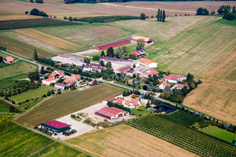 Vue aérienne de Geisberg à Riedseltz à Riedseltz dans le département Bas Rhin, France
