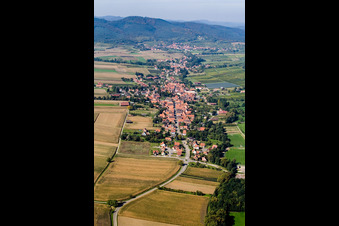 Steinseltz dans le département Bas Rhin, France depuis l'avion