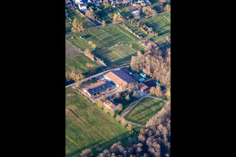 Vue aérienne de Haras islandais de Bienwald à Freckenfeld dans le département Rhénanie-Palatinat, Allemagne