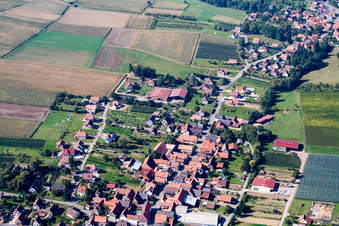 Vue d'oiseau de Steinseltz dans le département Bas Rhin, France