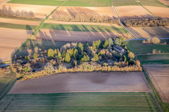 Vue aérienne de Joyau dans le parc de la Dierbacherstr à Vollmersweiler dans le département Rhénanie-Palatinat, Allemagne