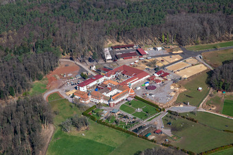 Vue aérienne de Pension pour chevaux au Kloster Liebfrauenberg - Stall Fried à Bad Bergzabern dans le département Rhénanie-Palatinat, Allemagne