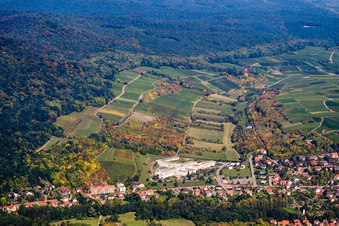 Vue aérienne de De Sonnenberg à Schweigen à Wissembourg dans le département Bas Rhin, France