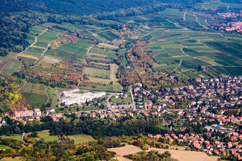 Photographie aérienne de De Sonnenberg à Schweigen à Wissembourg dans le département Bas Rhin, France