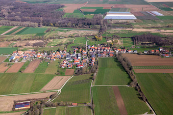 Vue aérienne de Du sud à Hergersweiler dans le département Rhénanie-Palatinat, Allemagne