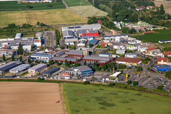 Vue aérienne de Netto à Nordring à Rülzheim dans le département Rhénanie-Palatinat, Allemagne