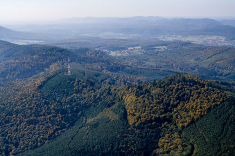 Vue aérienne de Wissenbourg, Col du pigeonnier à Wissembourg dans le département Bas Rhin, France