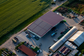 Vue aérienne de Salle du Biohof Kugelmann à Kandel dans le département Rhénanie-Palatinat, Allemagne