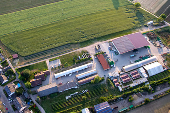 Ferme biologique Kugelmann à Kandel dans le département Rhénanie-Palatinat, Allemagne d'un drone