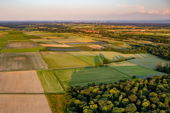 Quartier Mühlhofen in Billigheim-Ingenheim dans le département Rhénanie-Palatinat, Allemagne du point de vue du drone