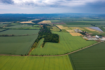 Vue aérienne de Quartier Asmusstedt in Ballenstedt dans le département Saxe-Anhalt, Allemagne