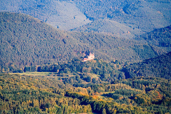 Vue aérienne de Château de Berwartstein vu du nord à Erlenbach bei Dahn dans le département Rhénanie-Palatinat, Allemagne