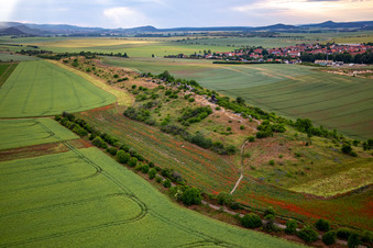 Photographie aérienne de Mur du Diable de Warnstedt à le quartier Warnstedt in Thale dans le département Saxe-Anhalt, Allemagne