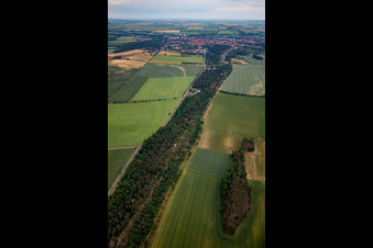 Vue aérienne de Rue Westerhäuser à Quedlinburg dans le département Saxe-Anhalt, Allemagne