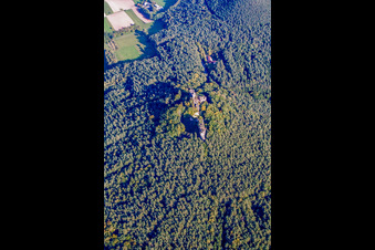 Ruines du château de Drachenfels à Busenberg dans le département Rhénanie-Palatinat, Allemagne depuis l'avion