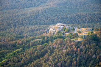 Vue aérienne de Château et forteresse de Regenstein à Blankenburg dans le département Saxe-Anhalt, Allemagne