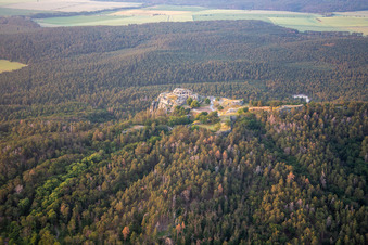 Vue aérienne de Château et forteresse de Regenstein à Blankenburg dans le département Saxe-Anhalt, Allemagne
