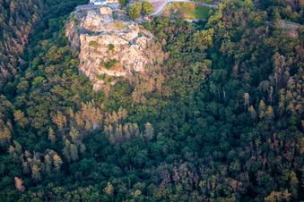 Château et forteresse de Regenstein à Blankenburg dans le département Saxe-Anhalt, Allemagne depuis l'avion