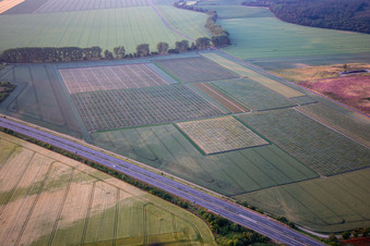 Vue aérienne de Champs d'essai à le quartier Heimburg in Blankenburg dans le département Saxe-Anhalt, Allemagne