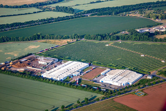 Vue aérienne de Pilzhof Pilzsubstrat Wallhausen GmbH devant le champ solaire Wallhausen à Wallhausen dans le département Saxe-Anhalt, Allemagne