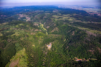 Château Falkenstein (Harz) à le quartier Pansfelde in Falkenstein dans le département Saxe-Anhalt, Allemagne hors des airs