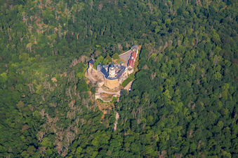 Château Falkenstein (Harz) à le quartier Pansfelde in Falkenstein dans le département Saxe-Anhalt, Allemagne vue d'en haut