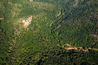 Château Falkenstein (Harz) à le quartier Pansfelde in Falkenstein dans le département Saxe-Anhalt, Allemagne depuis l'avion