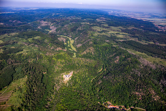 Vue d'oiseau de Château Falkenstein (Harz) à le quartier Pansfelde in Falkenstein dans le département Saxe-Anhalt, Allemagne