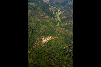 Enregistrement par drone de Château Falkenstein (Harz) à le quartier Pansfelde in Falkenstein dans le département Saxe-Anhalt, Allemagne