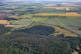 Vue aérienne de Golf Club Schloss Meisdorf eV à le quartier Meisdorf in Falkenstein dans le département Saxe-Anhalt, Allemagne