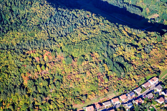 Vue aérienne de À Wingertsberg à Waldhambach dans le département Rhénanie-Palatinat, Allemagne