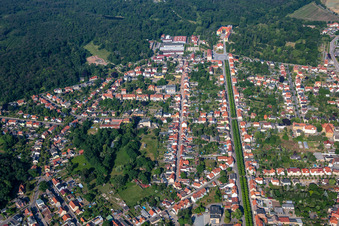 Photographie aérienne de Avenue du château à Ballenstedt dans le département Saxe-Anhalt, Allemagne