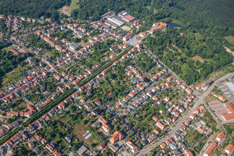 Avenue du château à Ballenstedt dans le département Saxe-Anhalt, Allemagne hors des airs