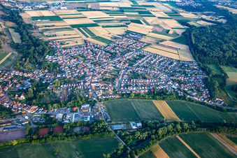 Vue aérienne de De l'est à Hördt dans le département Rhénanie-Palatinat, Allemagne