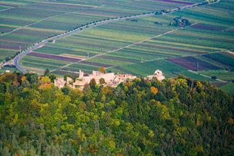 Vue aérienne de Ruines du château de Madenburg vues de l'ouest à Eschbach dans le département Rhénanie-Palatinat, Allemagne