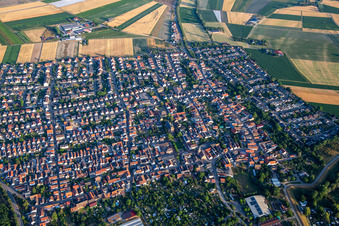 Vue aérienne de Rue Mannheimer à Otterstadt dans le département Rhénanie-Palatinat, Allemagne