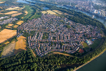 Vue aérienne de Alta Ripa dans la boucle du Rhin à Altrip dans le département Rhénanie-Palatinat, Allemagne