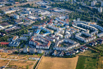 Vue aérienne de Bague Ida Dehmel à le quartier Käfertal in Mannheim dans le département Bade-Wurtemberg, Allemagne