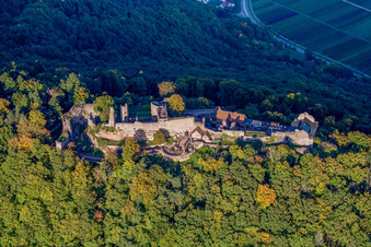 Vue oblique de Ruines du château de Madenburg vues de l'ouest à Eschbach dans le département Rhénanie-Palatinat, Allemagne