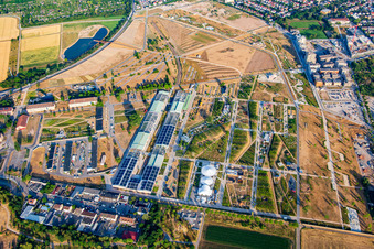 Vue aérienne de Vue générale depuis le nord du parc Spinelli de l'Exposition fédérale de jardinage Mannheim BUGA 2023 avec téléphérique jusqu'au Luisenpark à le quartier Feudenheim in Mannheim dans le département Bade-Wurtemberg, Allemagne