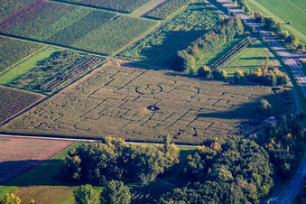 Vue aérienne de Labyrinthe de maïs à Göcklingen dans le département Rhénanie-Palatinat, Allemagne